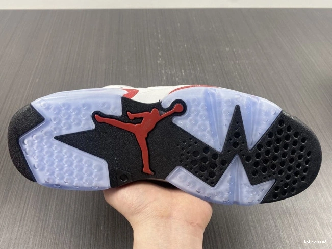 Reps TBkick 6 Jordan CT8529-162 Retro Hare 0708